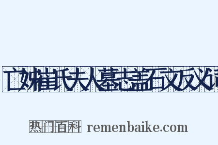 亡姊崔氏夫人墓志盖石文反义词是什么意思的图片